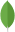 MongoDB